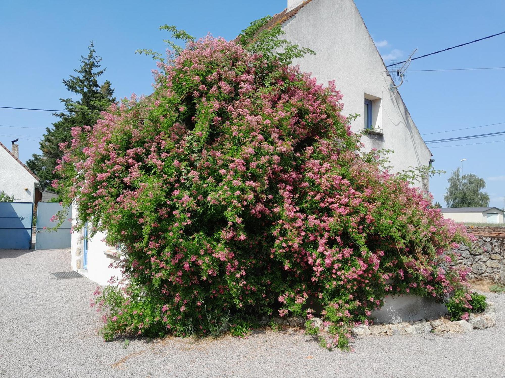 Gite De Marcureau Villa Louchy-Montfand Exterior photo