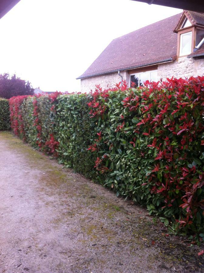 Gite De Marcureau Villa Louchy-Montfand Exterior photo